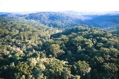 Áreas protegidas aumentam no mundo 