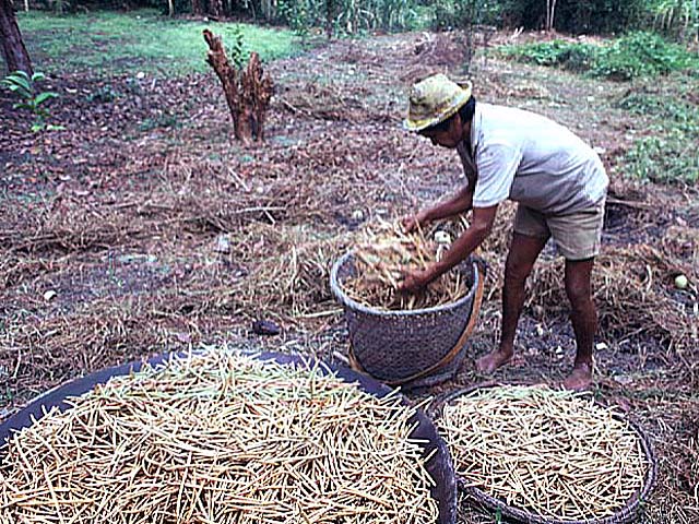 Programa de manejo comunitário beneficia ribeirinhos, indígenas e quilombolas