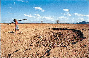 Desertificação ameaça pelo menos cem países