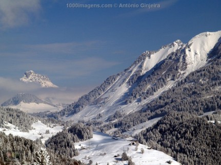 Estudo mostra que 12% do gelo dos Alpes suíços derreteu