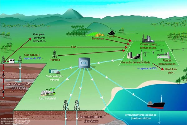 Os desafios para o sequestro de carbono  