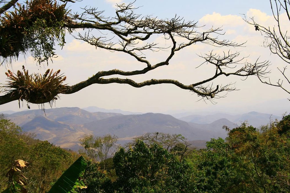 CE: A natureza do Maciço de Baturité é tema de debate no programa É Tudo Fotografia