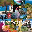 Brasil desperdiça potencial econômico da biodiversidade