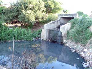 Degradação ambiental compromete rio Jaguaribe