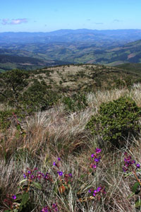 Cerrado já emite CO2 nos mesmos níveis que a Amazônia 