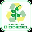 Sebo bovino leva problemas da pecuária à produção de biodiesel 