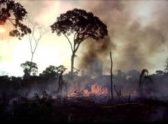 Redd será centro das atenções em Copenhague