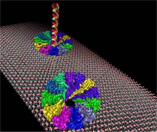 Nanomotor biossintético cria poro artificial