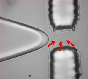 Nanoquímica acondiciona moléculas individuais em cápsulas de água