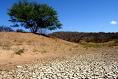 Medir a desertificação para poder combatê-la