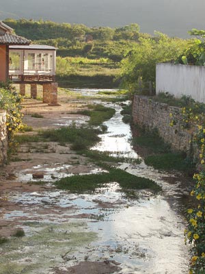 Serragem ajuda a despoluir rios