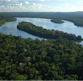 Seca é uma grande ameaça à Amazônia, aponta estudo da WWF