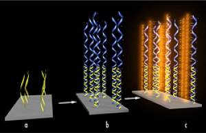 Química das células solares orgânicas tem verdadeira revolução