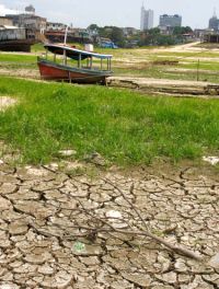 Depois da maior cheia dos últimos 100 anos, Amazonas chega a uma das piores secas 