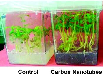 Nano-agricultura: efeitos gigantescos sobre o crescimento das plantas