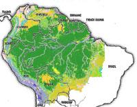 Desmatamento da Amazônia cresce no segundo semestre de 2009