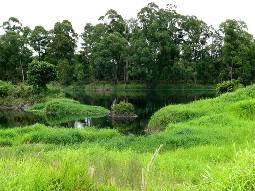 Licenciamento ambiental na região do Tietê em SP fica mais rigoroso 