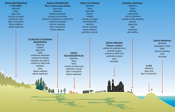 Serviços ambientais e proteção do território 