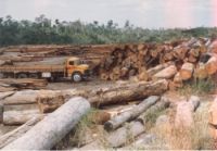 Estudo destaca áreas protegidas como estratégia para conter mudanças climáticas 