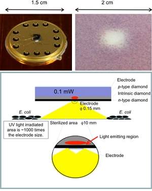 LED de diamante emite luz que mata bactérias