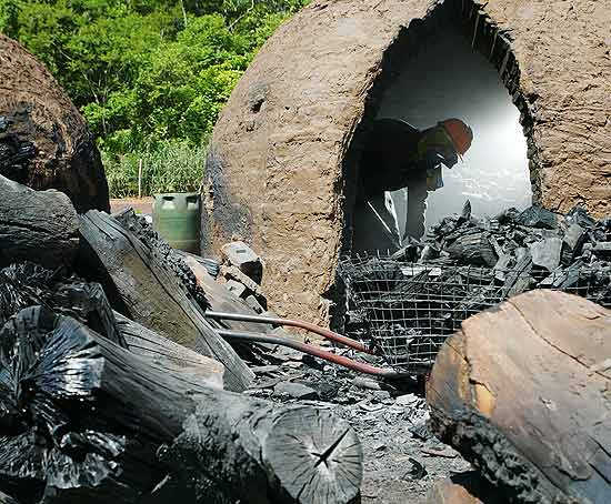 Pantanal perde 2 áreas da cidade de SP para carvão em 3 anos 