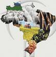 Estudo traz visão socioambiental do agro brasileiro 