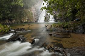 A natureza como legado no Ano Internacional da Biodiversidade