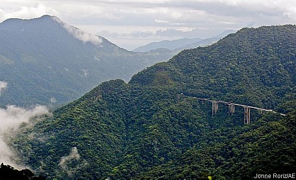 País tem 100 mi de hectares sem proteção