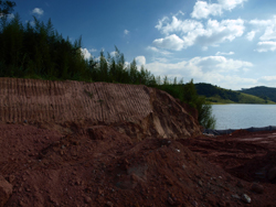 Vale do Paraíba ganha corredor ecológico 