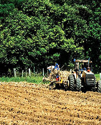 O carbono dos solos pode cortar emissões e melhorar as terras agrícolas ao redor do globo? 