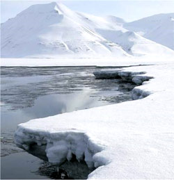 Cientistas estudarão o efeito estufa na Antártica 