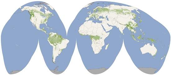 Mapa-múndi verde mostra altura das florestas da Terra