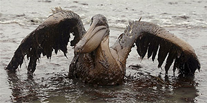 Desastre ambiental da BP no golfo do México completa 100 dias com prejuízos aos moradores da região