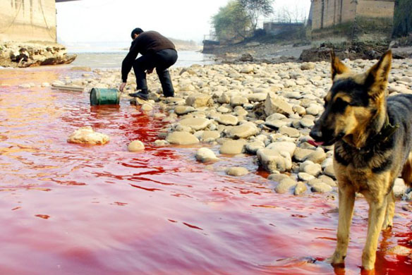 Inundações na China levam produto químico explosivo a rio 