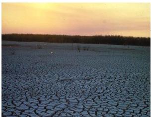 Próxima década será dedicada aos desertos e combate à desertificação