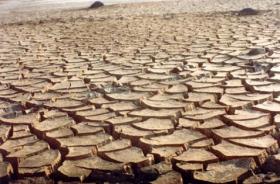 ONU vai lançar na ICID+18 Década sobre Desertos e de Combate à Desertificação