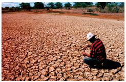 Dez anos para deter a desertificação