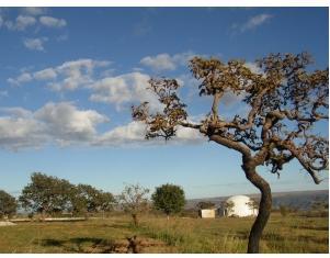 Acordo EUA-Brasil converte dívida em proteção ambiental