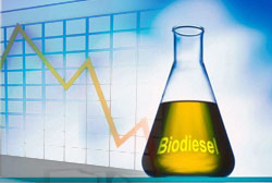 Incentivos ao biodiesel não melhoram indicadores ambientais 