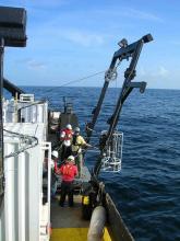 Petróleo do Golfo teria degradado pela ação de bactérias