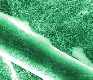 Filtro de algodão mata bactérias usando nanoestruturas eletrificadas