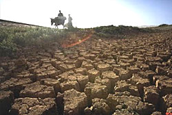 O que pode ser feito contra a desertificação? 