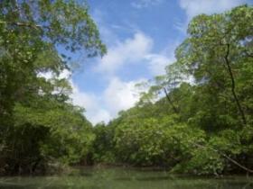 Estão abertas as inscrições para o TEDx Amazônia