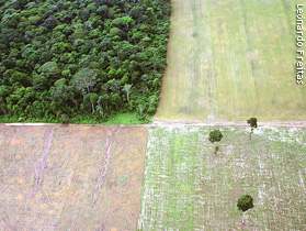 Relatório mostra que crédito ambiental do planeta se esgotará em 2030