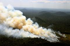 A ameaça das queimadas à biodiversidade brasileira