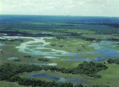 Pantanal ameaçado pelas mudanças climáticas.