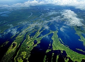 Planeta perdeu 30% de recursos naturais