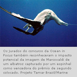 Capturando os impactos humanos no oceano para a conservação da vida marinha