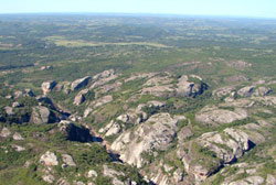 A biodiversidade pouco conhecida do Pampa 