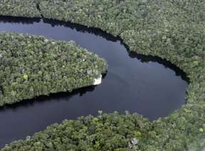 Lei de biodiversidade trava inovação